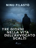 Cover: Tre giorni nella vita dell'avvocato Scalzi - Saga Egmont