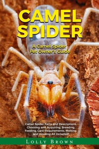 Abbildung von: Camel Spider - Nrb Publishing