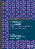 Cover: The Fault Lines of Inequality - Palgrave Macmillan
