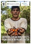 Cover: &Uuml;berblick zur Nachhaltigkeitsproblematik im Palm&ouml;lsektor - Umweltstiftung WWF - Deutschland