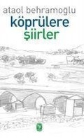 Cover: K&ouml;pr&uuml;lere Siirler - Tekin Yayinevi