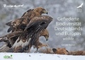 Cover: Gefiederte Biodiversit&auml;t Deutschlands und Europas - wildlife - Deutsche Wildtier Stiftung