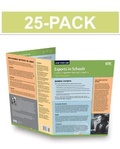 Cover: Esports in Schools (25-Pack) - International Society for Technology in Education