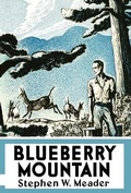 Cover: Blueberry Mountain - Southern Skies Publishing, LLC
