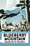 Cover: Blueberry Mountain - Southern Skies Publishing, LLC