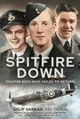 Cover: Spitfire Down - Air World