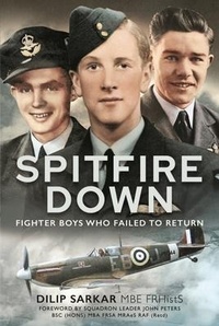 Enlarge image Cover: Spitfire Down - Air World