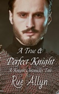 Cover: A True and Perfect Knight - Rue Allyn