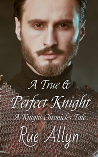Enlarge image Cover: A True and Perfect Knight - Rue Allyn
