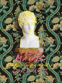 Enlarge image Cover: A Kind of Magic - Vendome Press