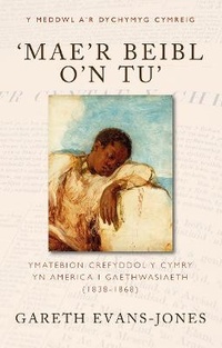 Abbildung von: 'Mae'r Beibl o'n tu' - University of Wales Press