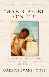 Abbildung von: 'Mae'r Beibl o'n tu' - University of Wales Press