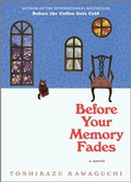 Cover: Before Your Memory Fades - Hanover Square Press