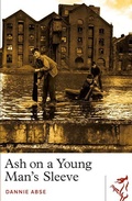 Cover: Ash on a Young Man's Sleeve - Parthian Books
