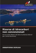 Cover: Risorse di idrocarburi non convenzionali - Edizioni Sapienza