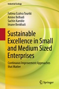 Cover: Sustainable Excellence in Small and Medium Sized Enterprises - Springer