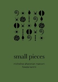 Cover: Small Pieces - Dalkey Archive Press