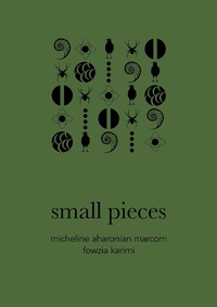 Abbildung von: Small Pieces - Dalkey Archive Press