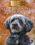 Cover: Schnoodles - Stingray
