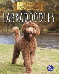 Enlarge image Cover: Labradoodles - Stingray