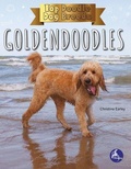 Cover: Goldendoodles - Stingray