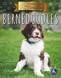 Enlarge image Cover: Bernedoodles - Stingray