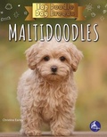 Cover: Maltidoodles - Stingray