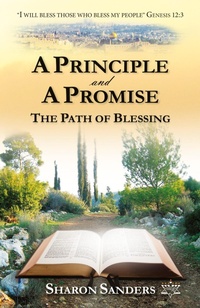 Enlarge image Cover: A Principle and a Promise - Trilogy Christian Publishing