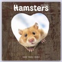Bild: Hamsters - Hamster 2023 - 16-Monatskalender - Avonside Publishing Ltd