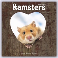 Abbildung von: Hamsters - Hamster 2023 - 16-Monatskalender - Avonside Publishing Ltd
