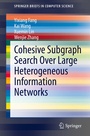 Cover: Cohesive Subgraph Search Over Large Heterogeneous Information Networks - Springer