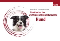 Abbildung von: Akupunkturpunkteatlas - Hund - Phoenix und Drache
