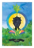 Cover: Seedlings - Formy Books