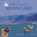 Cover: Magnificent Majestic Mono Lake - Publish Authority