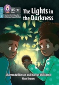 Cover: The Lights in the Darkness - Collins
