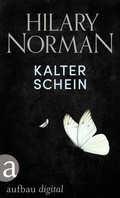 Cover: Kalter Schein - Aufbau
