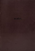 Cover: VA W&ouml;lfl - Kunstverein Ruhr