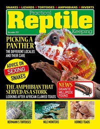 Abbildung von: Practical Reptile Keeping - December 2021 - Lulu.com