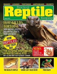 Abbildung von: Practical Reptile Keeping - January 2022 - Lulu.com