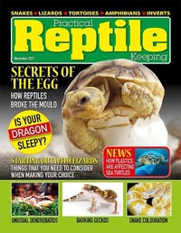 Abbildung von: Practical Reptile Keeping - November 2021 - Lulu.com