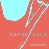 Enlarge image Cover: Surface Tension - Coach House Books