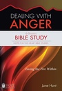 Cover: Dealing with Anger - Rose Publishing