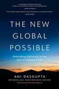 Cover: The New Global Possible - Disruption Books