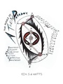 Cover: The Puzzle of a Twin Paradox - iUniverse