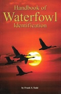 Cover: Handbook of Waterfowl Identification - Hancock House Publishers Ltd ,Canada