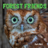 Enlarge image Cover: Forest Friends - Flowerpot Press