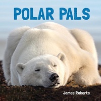Enlarge image Cover: Polar Pals - Flowerpot Press