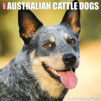 Abbildung von: Just Australian Cattle Dogs 2023 Wall Calendar - Willow Creek Press