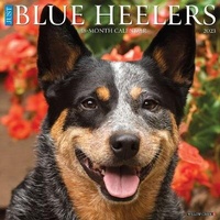 Abbildung von: Just Blue Heelers 2023 Wall Calendar - Willow Creek Press