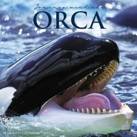 Abbildung von: Orca (Journey with The) 2023 Wall Calendar - Willow Creek Press